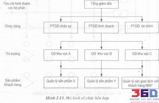 Các Cơ Cấu Tổ Chức Quản Lý Theo Nội Dung Dự Án