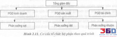 Các Cơ Cấu Tổ Chức Quản Lý Theo Nội Dung Dự Án