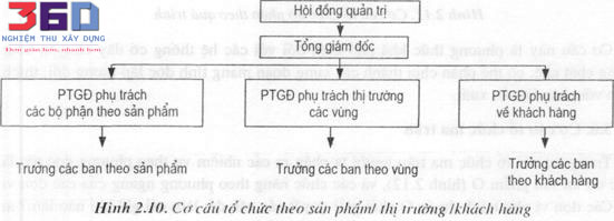 Các Cơ Cấu Tổ Chức Quản Lý Theo Nội Dung Dự Án